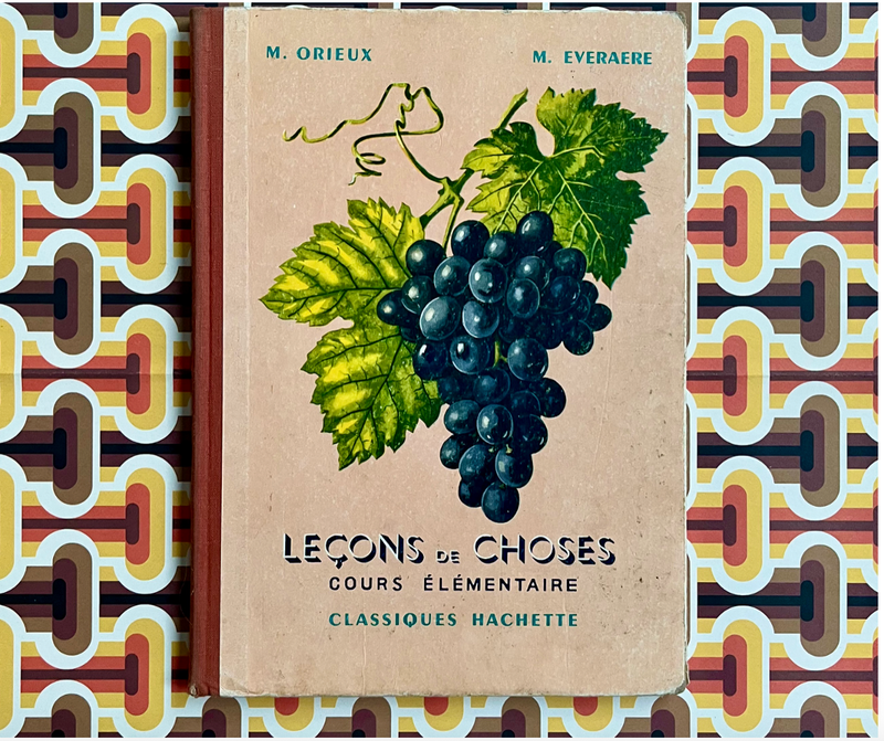 Cahier Vintage "Leçons de Choses" (Année 1952)